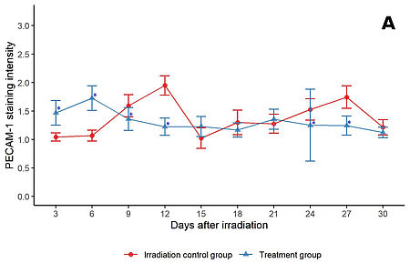 Gezeigt wird das Diagramm A von Fig 3 aus wtm000013