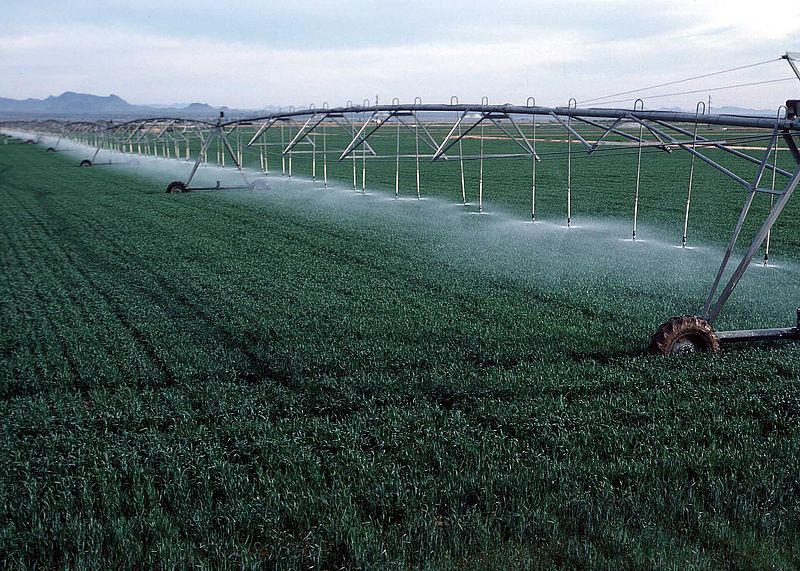 Center pivot irrigation on wheat growing in Yuma County, Arizona. 1987.